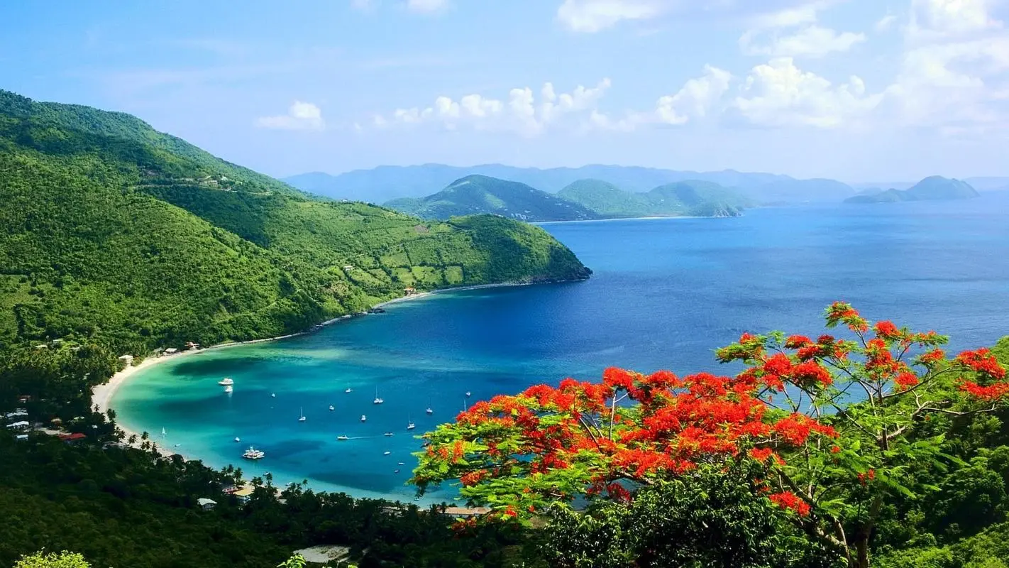 自动化高性能